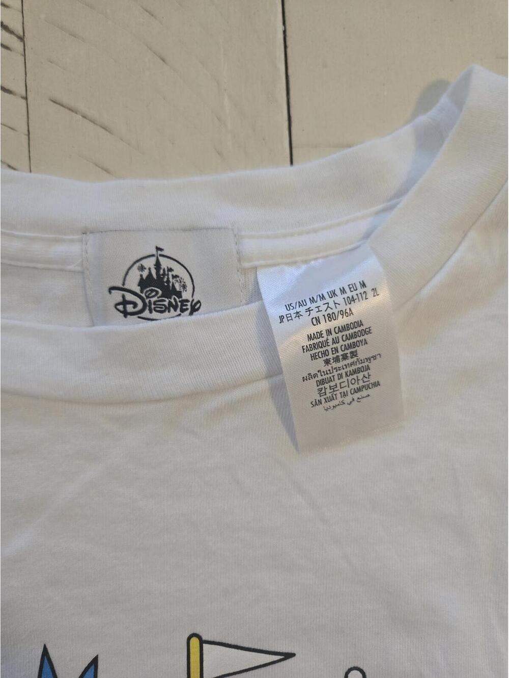 Disney Parks 2024 Castle Graphic T-Shirt Adult Medium Walt Disney World Tee - Picture 2 of 8